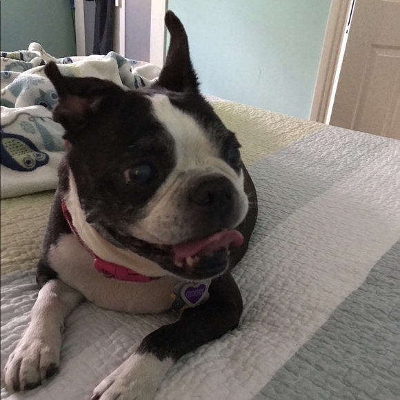 MEET YOUR SELLER - Picture 4 of 11